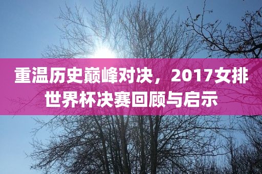 重温历史巅峰对决，2017女洪湖市顺升工程机械租赁有限公司排世界杯决赛回顾与启示