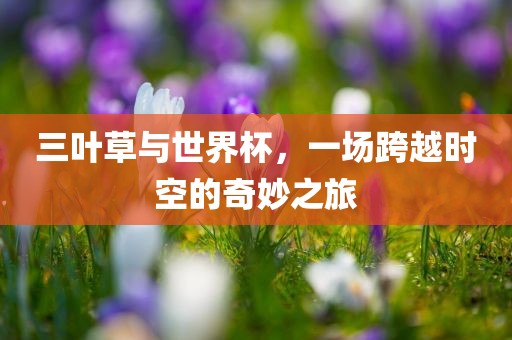 三叶草与世界杯，一场跨越时空的奇妙之旅