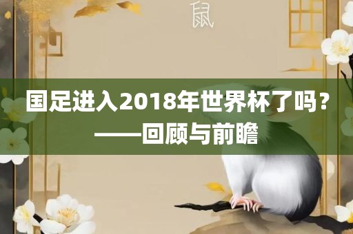 国足进入2018年世界杯了吗？——回顾与前瞻