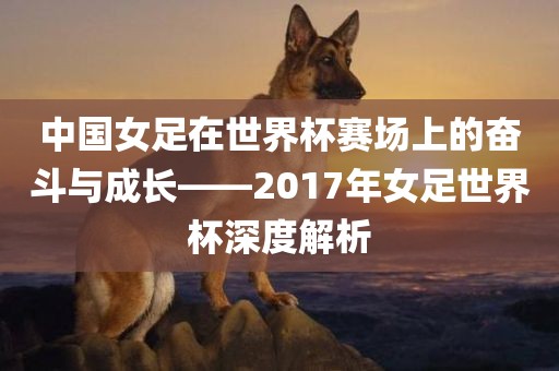 中国女足在世界杯赛场上的奋斗与成长——2017年女足世洪湖市顺升工程机械租赁有限公司界杯深度解析