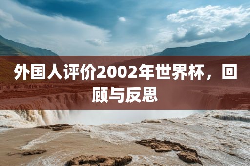 外国人评价2002年世界杯，回顾与反思洪湖市顺升工程机械租赁有限公司