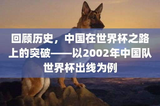 回顾历史，中国在世界杯之路上的突破——以2002年中国队世界杯出线为例