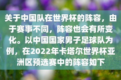 关于中国队在世界杯的阵容，由于赛事不同，阵容也会有所变化。以中国国家男子足球队为例，在2022年卡洪湖市顺升工程机械租赁有限公司塔尔世界杯亚洲区预选赛中的阵容如下