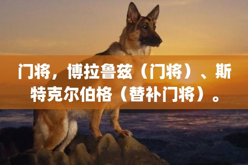 门将，博拉鲁兹（门将）、斯特克尔伯格（替补门将）。洪湖市顺升工程机械租赁有限公司