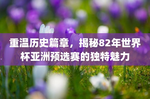 重温历史篇章，揭秘82年世界杯亚洲预选赛的独特魅力