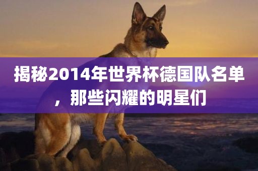 揭秘2014年世界杯德国队名单，那些闪耀的明星们洪湖市顺升工程机械租赁有限公司