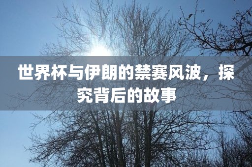 世界杯与伊朗的禁赛风波洪湖市顺升工程机械租赁有限公司，探究背后的故事