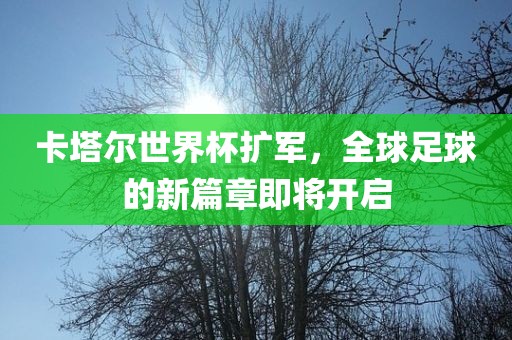 卡塔尔世界杯扩军，全球足球的新篇章即将开启洪湖市顺升工程机械租赁有限公司