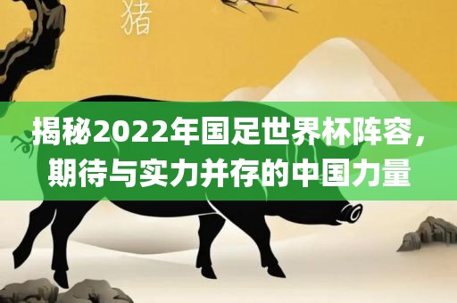 揭秘2022年国足世界杯阵容，期待与实力并存的中国力量