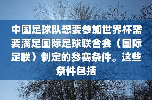 中国足球队想要参加世界杯需要满足国际足球联合会（国际足联）制定的参赛条件。这些条件包括洪湖市顺升工程机械租赁有限公司