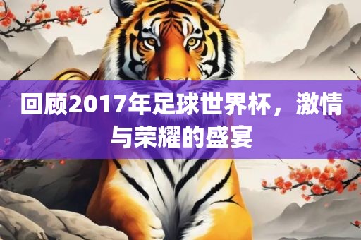 回顾2017年足球世界杯，激情与荣耀的盛宴