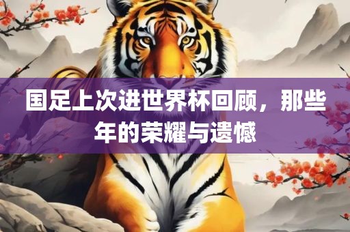 国足上次进世界杯回顾，那些年的荣耀与遗憾