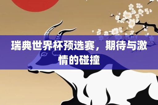 瑞典世界杯预选赛，期待与激情的碰撞