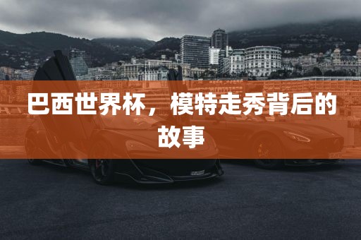 巴西世界杯，模特走秀洪湖市顺升工程机械租赁有限公司背后的故事