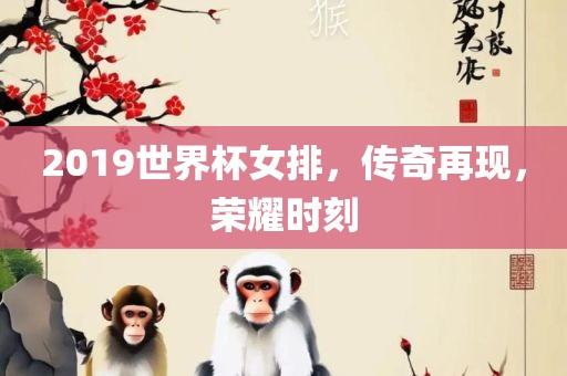 2019世界杯女排，传奇再现，荣耀时刻