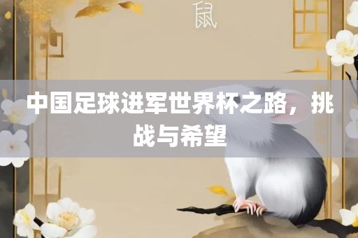 中国足球进军世界杯之路洪湖市顺升工程机械租赁有限公司，挑战与希望