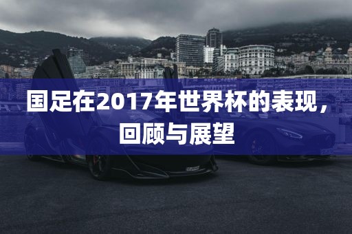 国足在2017年世界杯的表现，回顾与展望