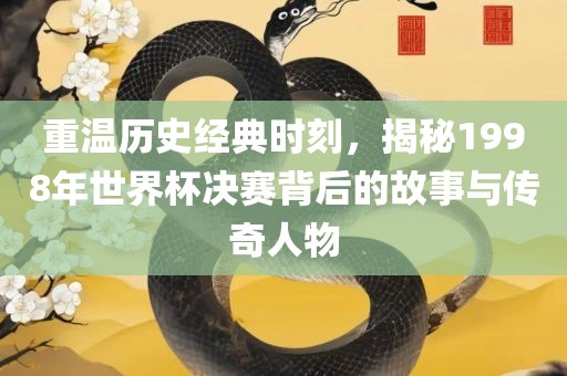 世界杯决赛 第12页