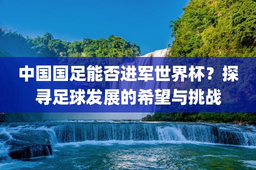 中国国足能否进军洪湖市顺升工程机械租赁有限公司世界杯？探寻足球发展的希望与挑战