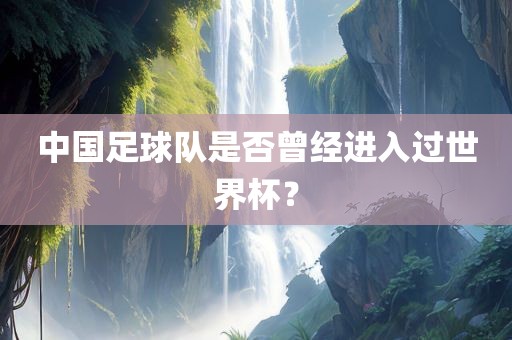 洪湖市顺升工程机械租赁有限公司中国足球队是否曾经进入过世界杯？