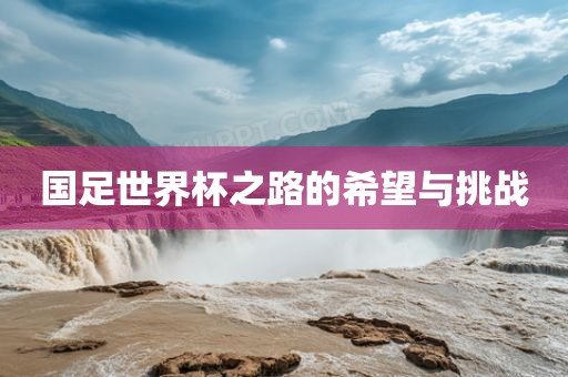 国足世界杯之路的希望与挑战