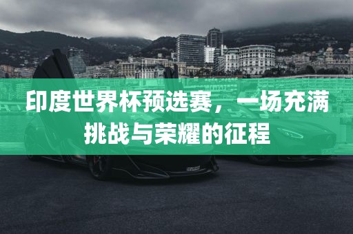印度世界杯洪湖市顺升工程机械租赁有限公司预选赛，一场充满挑战与荣耀的征程