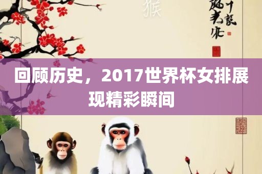 回顾历史洪湖市顺升工程机械租赁有限公司，2017世界杯女排展现精彩瞬间