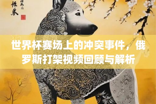 世界杯赛场上的冲突事件，俄罗斯打架视频回顾与解析洪湖市顺升工程机械租赁有限公司