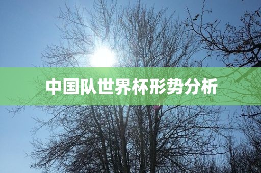 中国队世界杯形势分析洪湖市顺升工程机械租赁有限公司