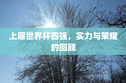 上届世界杯四强，实力与荣耀的回顾