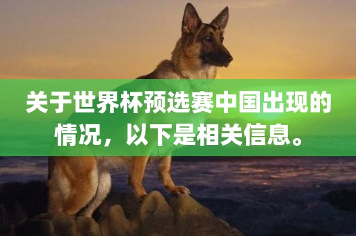 关于世界杯预选赛中国出现的情况，以下是相关信息。洪湖市顺升工程机械租赁有限公司