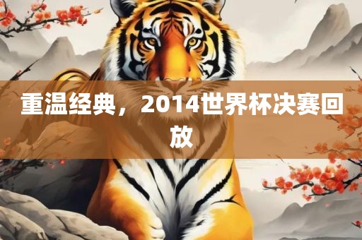 重温经典，2014世界杯决赛回放洪湖市顺升工程机械租赁有限公司