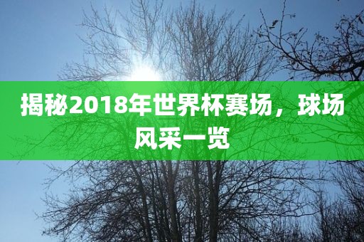 洪湖市顺升工程机械租赁有限公司揭秘2018年世界杯赛场，球场风采一览