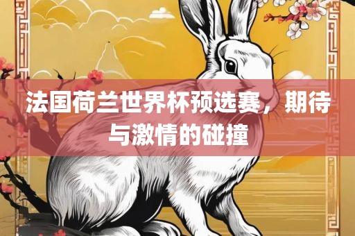 法国荷兰世界杯预选赛，期待与激情的碰撞洪湖市顺升工程机械租赁有限公司