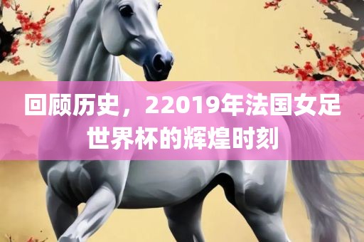 回顾历史，22019年法国女足世界杯的辉煌时刻