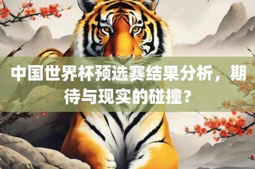 中国世界杯预选赛结果分析，期待与现实的碰撞？