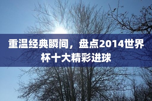 重温经典瞬间，盘点2014世界杯十大精彩进球洪湖市顺升工程机械租赁有限公司