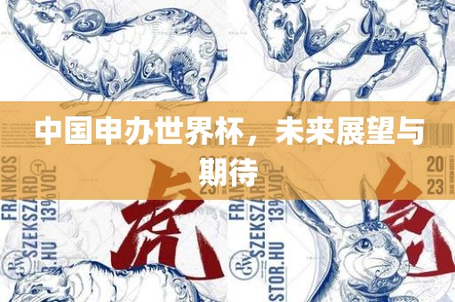 中国申办世界杯，未来展望与期待