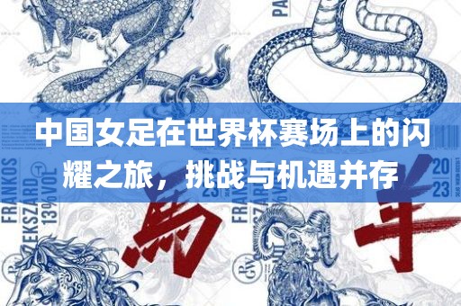 中国女足在世界杯赛场上的闪耀之旅，挑战与机遇并存