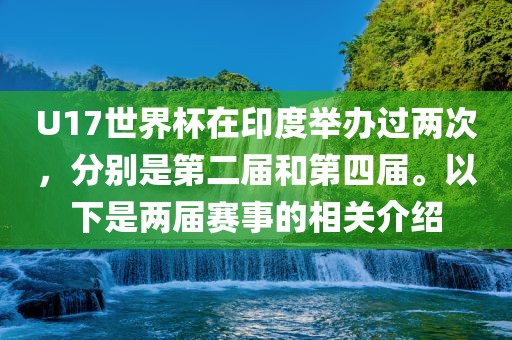 U17世界杯在印度举办过两次，分别是第二届和第四届。以下是两届赛事的相关介绍