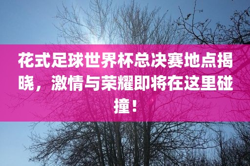 花式足球世界杯总决赛地点揭晓，激情与荣耀洪湖市顺升工程机械租赁有限公司即将在这里碰撞！