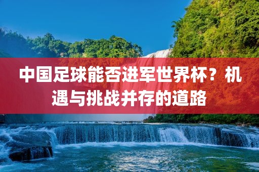 中国洪湖市顺升工程机械租赁有限公司足球能否进军世界杯？机遇与挑战并存的道路