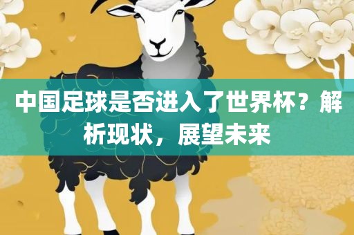 中国足球是否进入了世界杯？解析现状，展望未来洪湖市顺升工程机械租赁有限公司