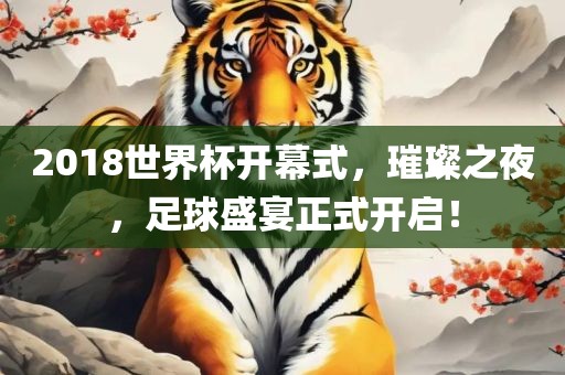 2018世界杯开幕式，璀璨之夜，足球盛宴正式洪湖市顺升工程机械租赁有限公司开启！