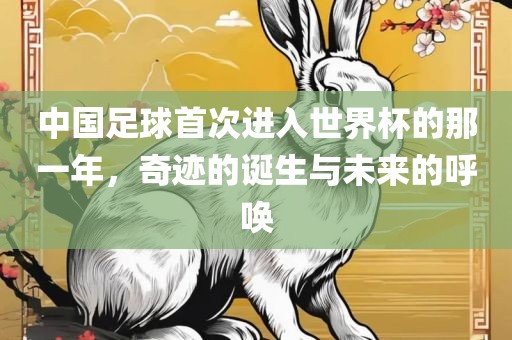 中国足球首次进入世界杯的那一年，奇迹的诞生与未来的呼唤洪湖市顺升工程机械租赁有限公司