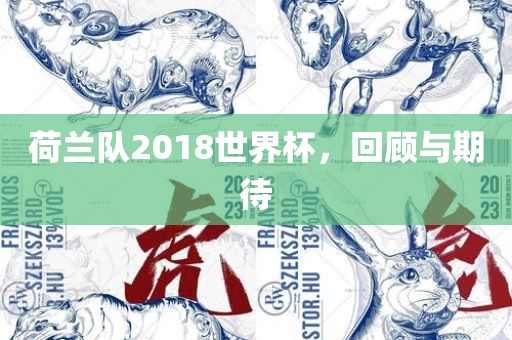 荷兰队2018世界杯，回顾与期待洪湖市顺升工程机械租赁有限公司