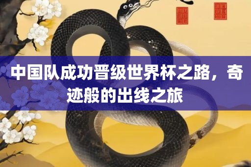 中国队成功晋级世界杯之路，奇迹般的出线之旅洪湖市顺升工程机械租赁有限公司