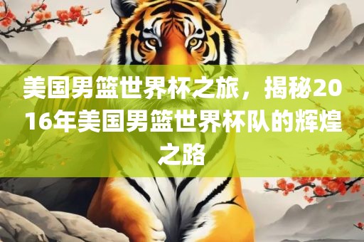 美国男篮世界杯之旅，揭秘2016年美国男篮世界杯队的辉煌之路