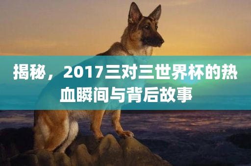 揭秘，2017三对三世界杯的热血瞬间与背后故事洪湖市顺升工程机械租赁有限公司