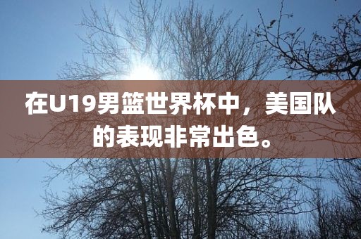 在U19男篮世界杯中，美国队的表现非常出色。